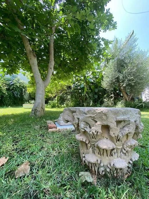 Dar Sofia Villa Tunis